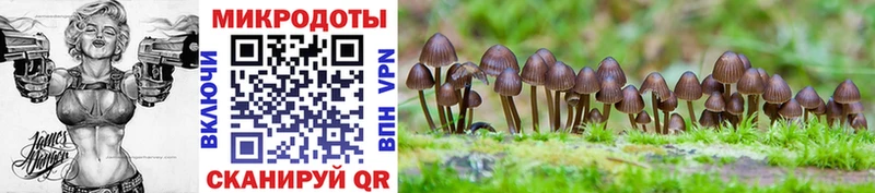 Галлюциногенные грибы мухоморы  Гороховец 